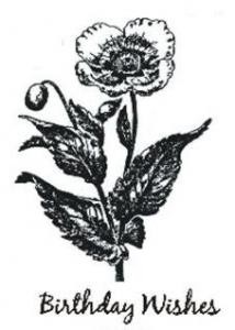 Creative Expressions Pre-Cut Rubber Stamps - Perfect Poppy